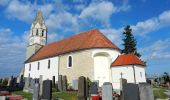 Tour Zu Fuß Gemeinde Höflein - Via Vinum (Rundwanderweg Höflein) - Photo 7