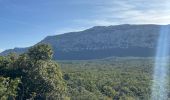 Tour  Plan-d'Aups-Sainte-Baume - Rando Chantal  - Photo 11