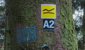 Percorso A piedi Kirchhundem - Heinsberg Rundweg A2 - Photo 6