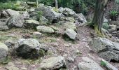 Trail Walking Jalhay -  Boucle de Charneux 17 Km  - Photo 12
