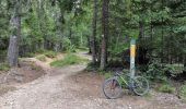 Randonnée V.T.T. Villard-de-Lans - VTT  SR - De Villard-de-Lans  à Lans En Vercors (Quasiment le Col de la Croix Perrin). - Photo 2