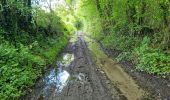 Tour Wandern Perche en Nocé - Préaux-du-Perche Nord - Photo 7