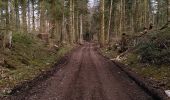 Excursión Senderismo Le Poizat-Lalleyriat -  le chemin de l'écureuil - Photo 8