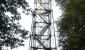 Tour Zu Fuß Aerzen - AE5 Streckenwanderung von Aerzen in Richtung Bad Pyrmont zum Spelunkenturm - Photo 8