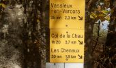 Randonnée Marche Vassieux-en-Vercors - Vassieux-en-Vercors - Le Puy de la Gagère - Photo 18