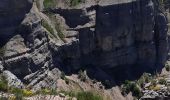 Excursión Senderismo Bouvante - Boucle du Plateau de Font d'Urle - Photo 2