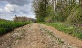 Trail Walking Tinlot - Bois de Forkechamps - Photo 9