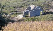 Randonnée Marche Fleury - Oustalet à Salnt Pierre la Mer - Domaine de Laquirou - Photo 5