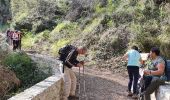 Trail Walking Carros - BALCON CARROS - Photo 7