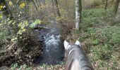 Trail Horseback riding Florenville - Les Epioux - Photo 5