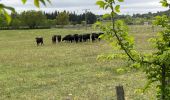 Tour Wandern Saussines - Saussines Les Capitelles de la Benovie - Photo 19