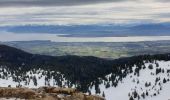 Tocht Sneeuwschoenen Divonne-les-Bains - La Dole alt 1676m en raquette - Photo 9