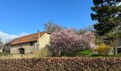 Tour Wandern Incourt - #240318 - Piétrebais, Sart-Biez, Petit et Grand Haquedeau*** - Photo 14