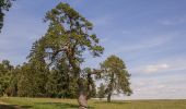 Tour Zu Fuß Titting - Fossilienweg - Photo 2