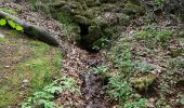 Tour Zu Fuß Lomnitz an der Popelka - [Ž] Lomnice nad Popelkou - Kyje - Photo 2