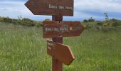 Tour Wandern Vence - Blaquiere - Photo 2