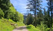 Trail Walking Les Adrets - LE GROS CAILLOU PAR LA COLONIE - Photo 3