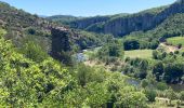 Trail Walking Berrias-et-Casteljau - Les gorges de Chassezac - Photo 6