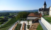 Tour Zu Fuß Sankt Anna am Aigen - Weinweg der Sinne - Photo 7