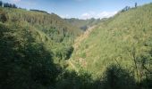 Randonnée Marche Malmedy - Un air de crête  - Photo 15