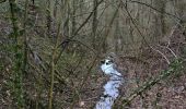 Trail Walking Liège - Jupille Bois Sauvage Beyne Fayenbois  - Photo 2