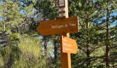 Trail Walking Saint-Vallier-de-Thiey - Montagne de Thiey 2 - Photo 6