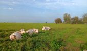 Tocht Stappen Comblain-au-Pont - oneux . comblain-la-tour . oneux - Photo 4