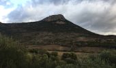 Tour Wandern Cabrières - Le Vissou par les crêtes - Photo 2