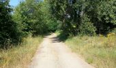 Percorso Marcia Vouvray - Vouvray - 7.8km 86m 1h30 - 2016 09 18  - Photo 2