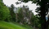 Tour Zu Fuß Sankt Ulrich bei Steyr - Wanderweg 11 - Photo 10