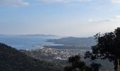 Trail Road bike Le Lavandou - bormes col canadel bormes - Photo 4