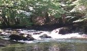 Tocht Stappen Libin - balade du dimanche entre eau et forêt  - Photo 12