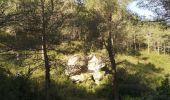 Tour Wandern Allauch - grotte aux fées - Photo 2