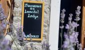 Tour Wandern Les Deux Alpes - Lac Lauvitel depuis Venosc - Photo 10