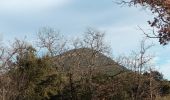 Tour Wandern Pontevès - Petit et gros Bessillon 07-02-24 - Photo 4