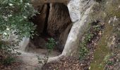 Tour Wandern Le Revest-les-Eaux - La grotte des sables - Photo 5