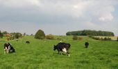 Percorso Marcia Noyelles-sur-Mer - LP80_Noyelles-SAILLY BRAY-Ponthoile_15km  - Photo 1