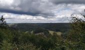 Tour Wandern Florenville - Rando St Cécile 12km200 2020 - Photo 7