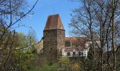 Percorso A piedi Gemeinde Zwettl-Niederösterreich - Naturfreundeweg 12 - Photo 1