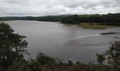 Trail Walking Argol - Le Marros-Terenez avec Ripley 14-07-2020 - Photo 1