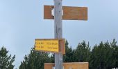 Tour Wandern Villard-Reymond - La Croix de Carellet  - Photo 2