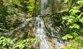 Tour Wandern La Tour-du-Meix - A la découverte du lac de Vouglans 🥾 - Photo 7