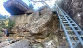 Tocht Stappen Unknown - The Pinacle Grampians Nationaal Park Victoria Australie - Photo 7
