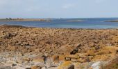 Tour Wandern Penvénan - Port blanc - Pointe du Château  - Photo 18