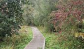 Trail Walking Heers - Mechelen - Bovelingen (Heers) - Photo 3
