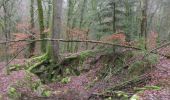 Trail Mountain bike Chaumont - Chaumont Brottes st Rock - Photo 1