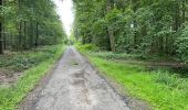 Tocht Stappen Oigny-en-Valois - en forêt de Retz_86_les Laies de la Poudrerie et de la Fosse aux Demoiselles - Photo 17