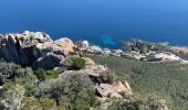 Excursión Senderismo Saint-Raphaël - Cap Roux par l'Est depuis la gare du Trayas - Photo 15