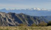 Trail Walking Bayons - BAYONS  . col des Sagnes , Peyrouret , Picouse , bergerie de Gautiere , Piaure , Giaire n - Photo 8