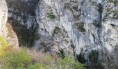 Trail Walking Cognin-les-Gorges - Les gorges du Nan - Photo 2